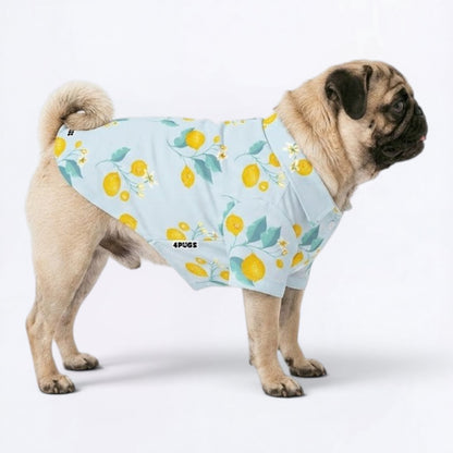 Milo - Pug Hawaiian Shirt