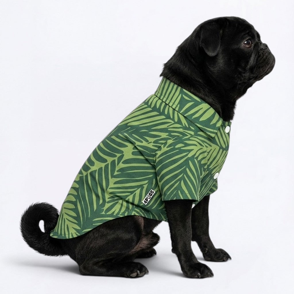 Apollo - Pug Hawaiian Shirt