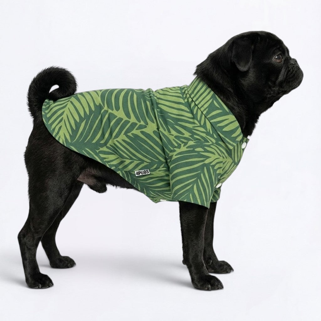 Apollo - Pug Hawaiian Shirt