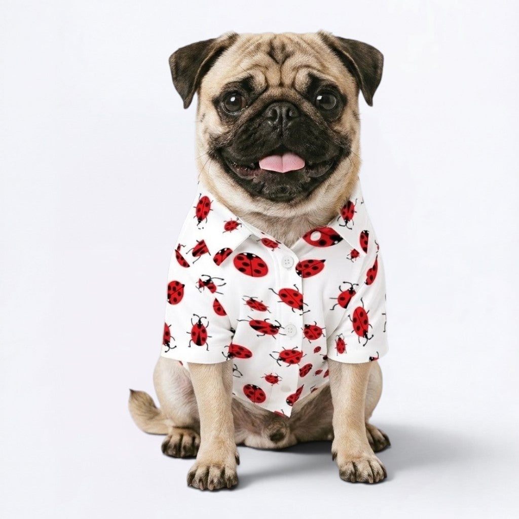Jax - Pug Hawaiian Shirt
