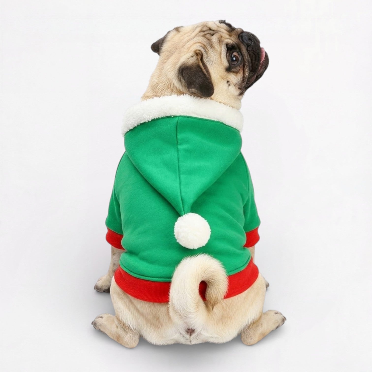 JollyPaw-Pug-Christmas-Costume-Hoodie.jpg