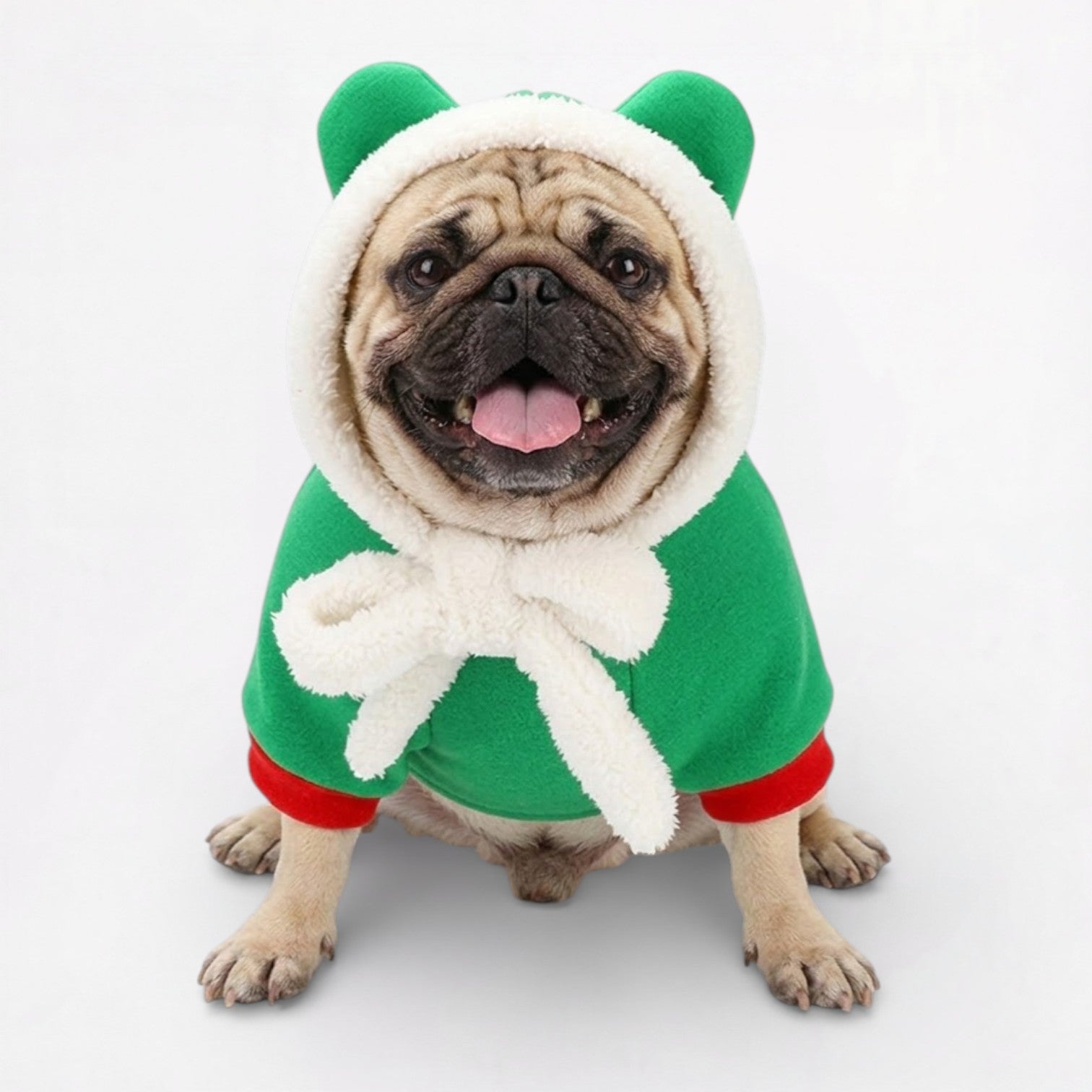 JollyPaw-Pug-Christmas-Costume-Hoodie.jpg