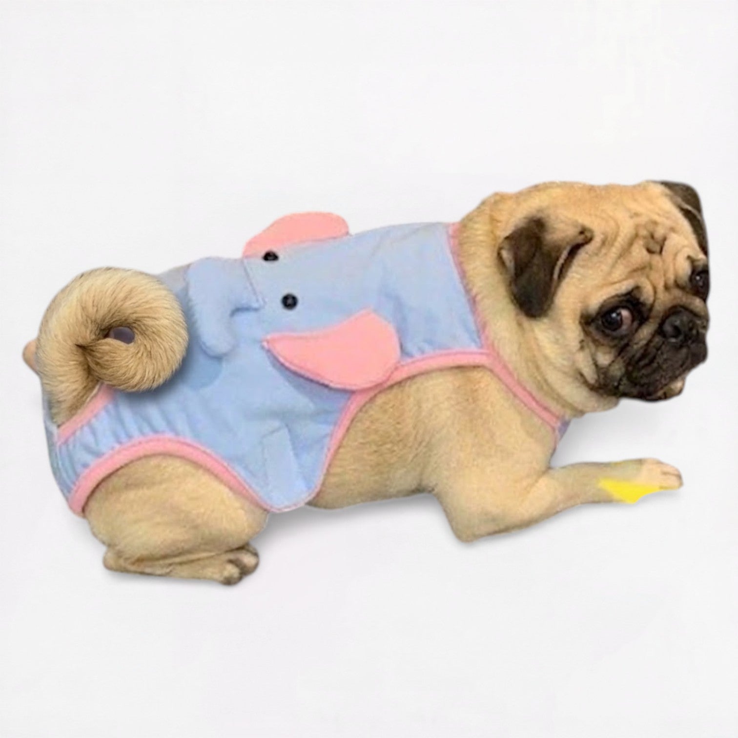 LemoPaw-Pug-Menstrual-Diaper.jpg
