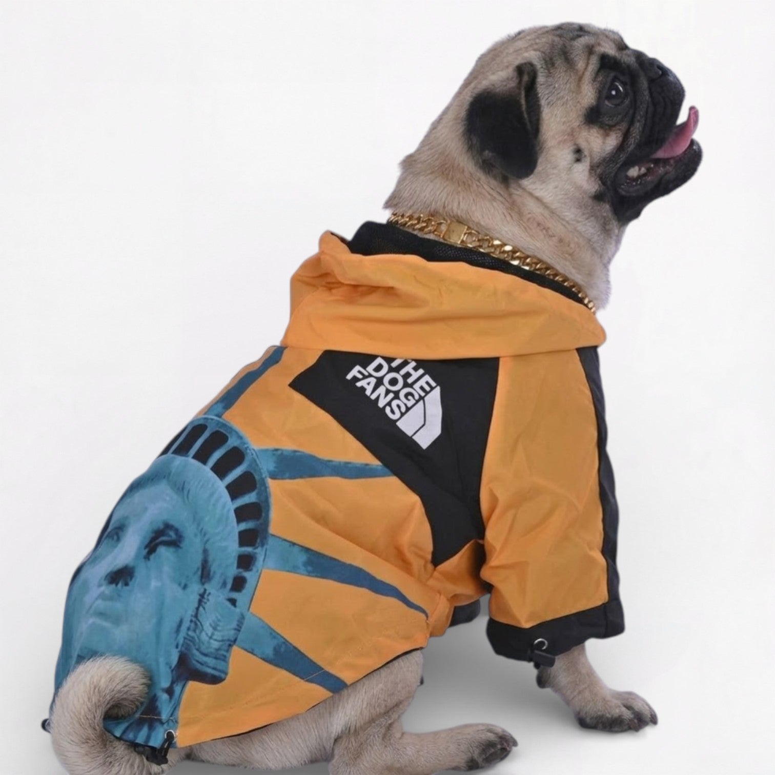LibertyShield-Pug-Raincoat.jpg