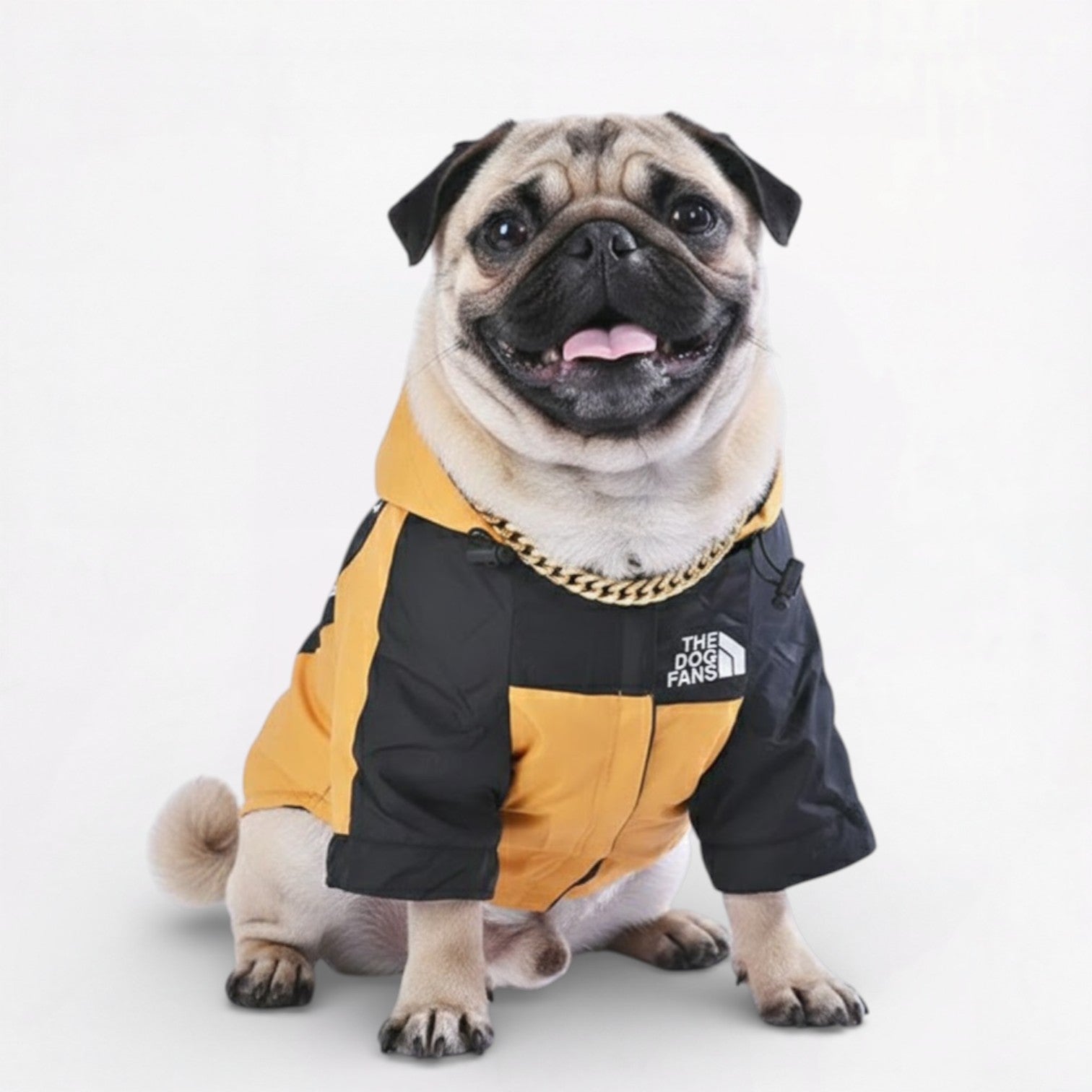 LibertyShield-Pug-Raincoat.jpg