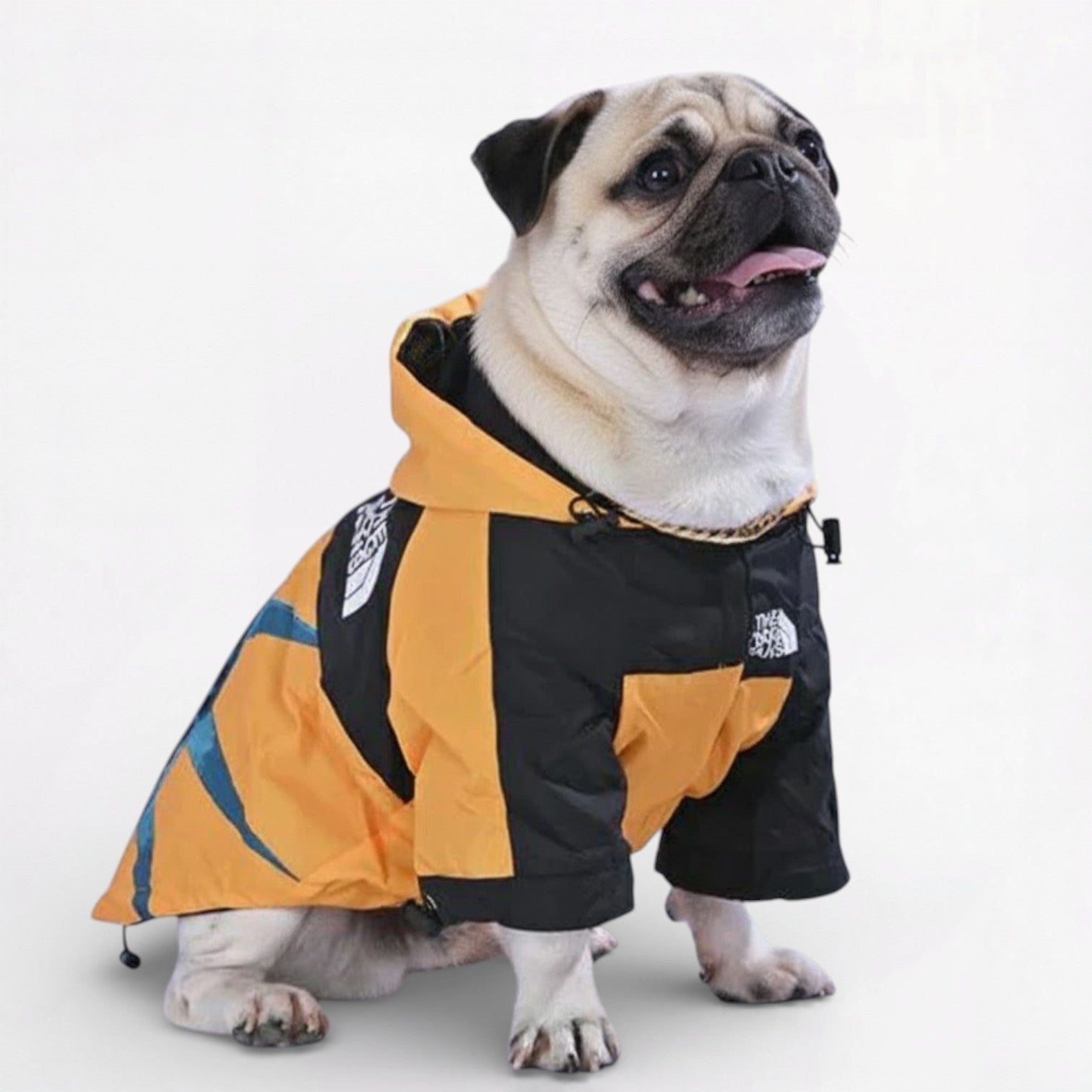 LibertyShield-Pug-Raincoat.jpg