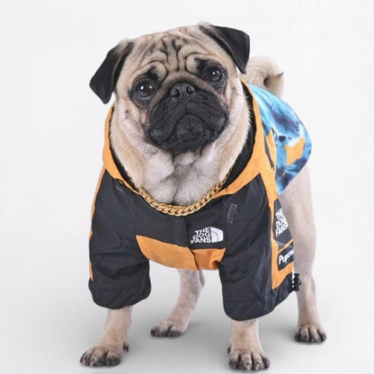 LibertyShield-Pug-Raincoat.jpg