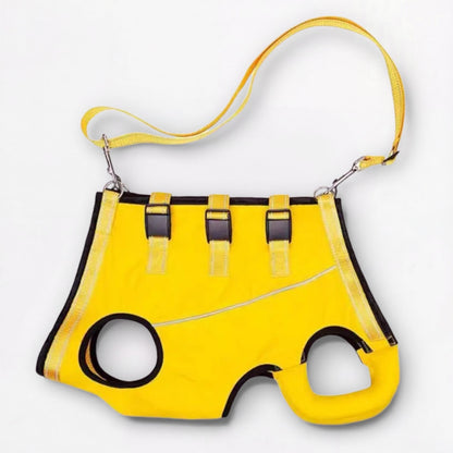LiftEase-Pug-Full-Body-Support-Harness.jpg