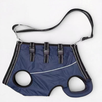 LiftEase-Pug-Full-Body-Support-Harness.jpg