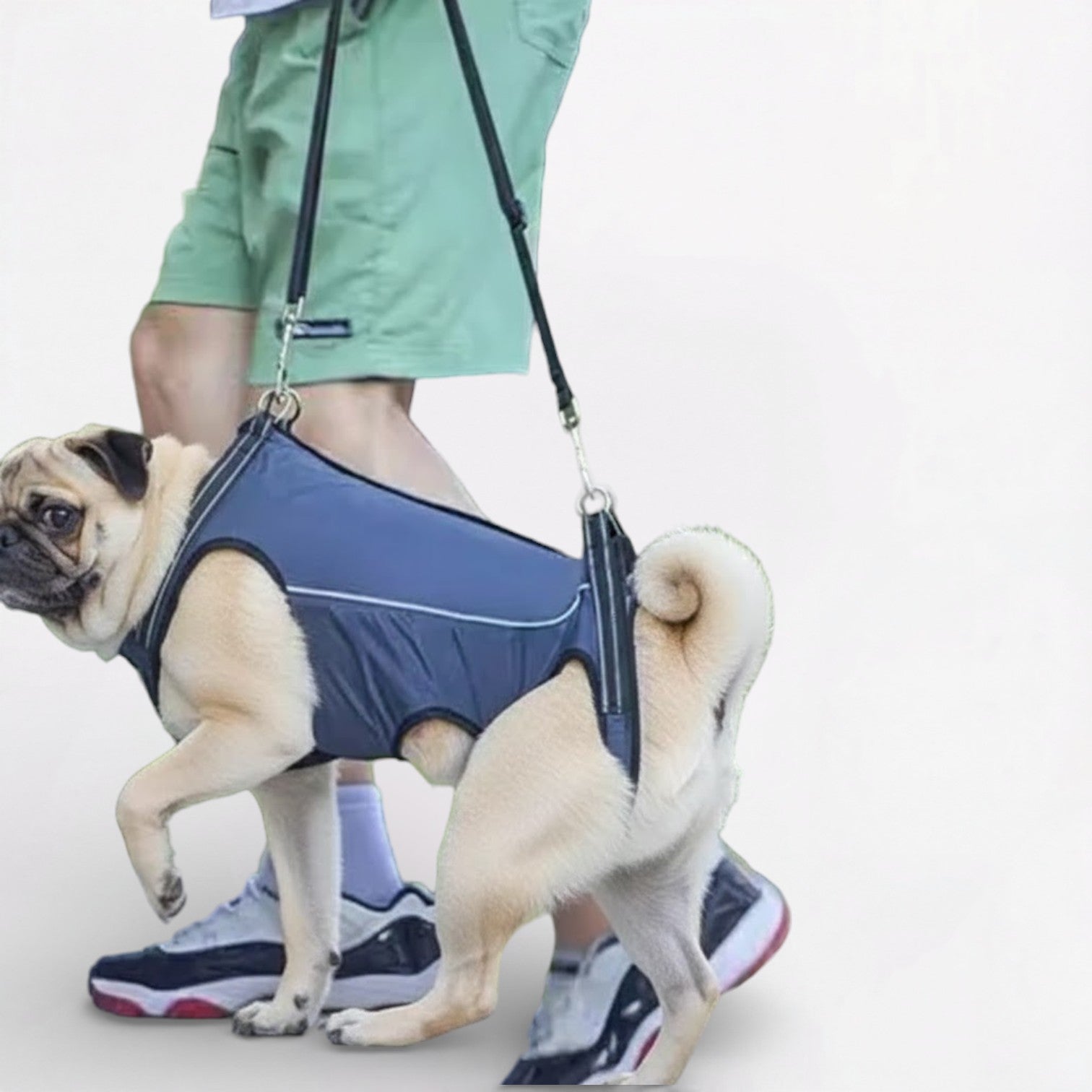 LiftEase-Pug-Full-Body-Support-Harness.jpg