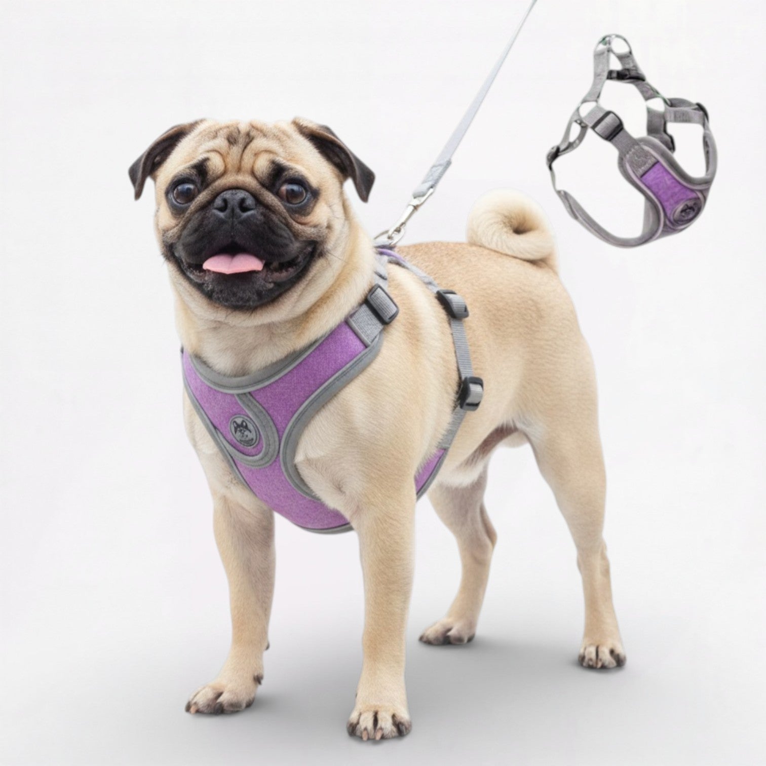 LumiPaw-Pug-Reflective-Harness.jpg