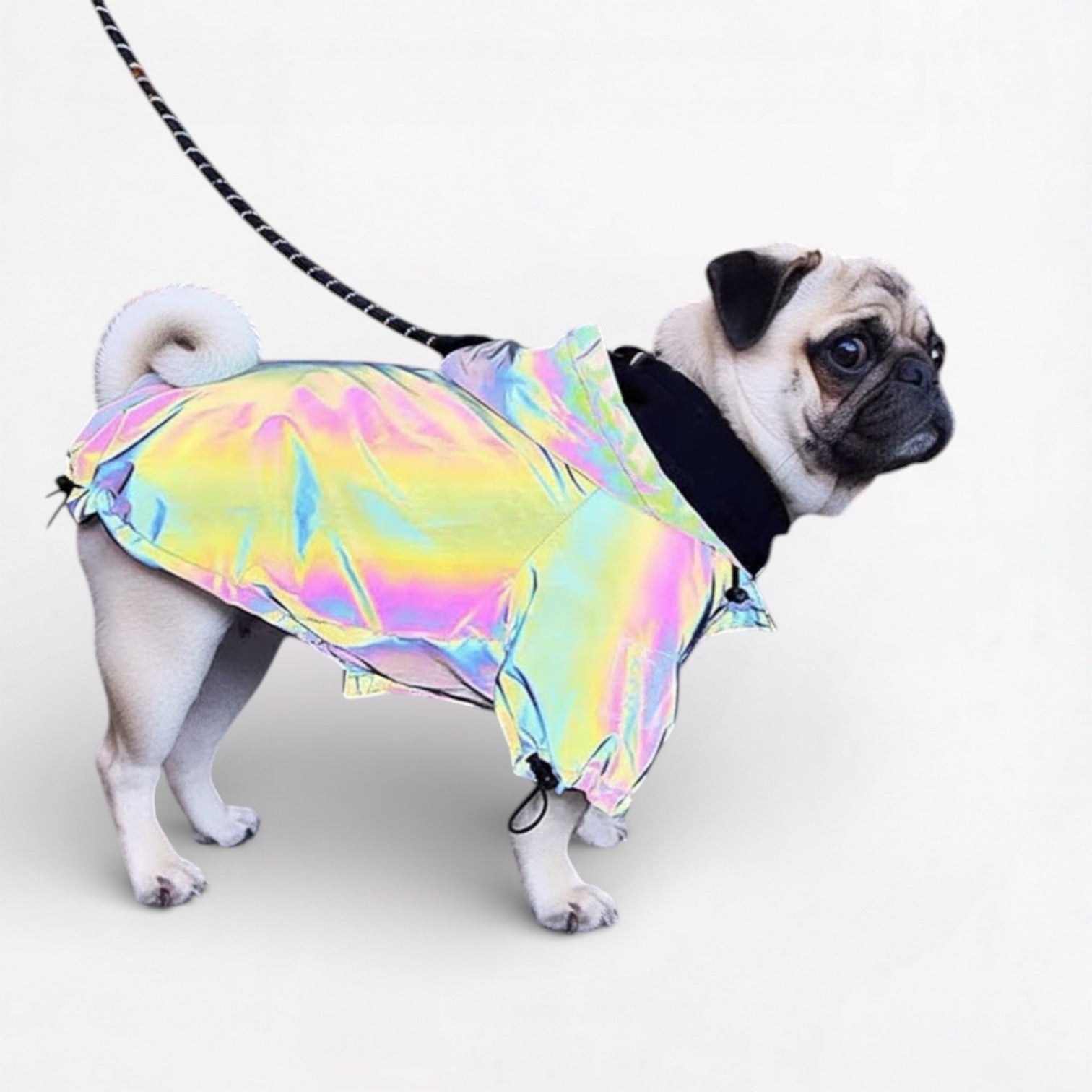 LumiPaw-Pug-Reflective-Jacket.jpg
