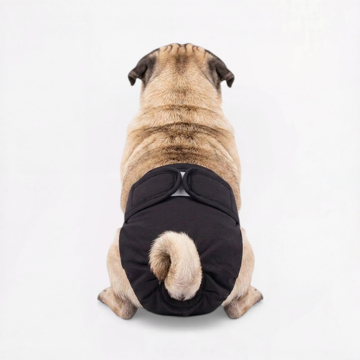 Lunara-Pug-Reusable-Female-Diaper.jpg