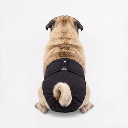 Lunara-Pug-Reusable-Female-Diaper.jpg