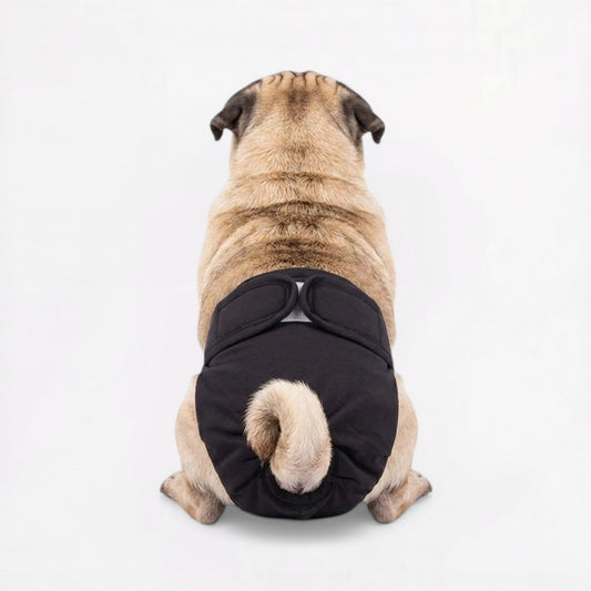Lunara-Pug-Reusable-Female-Diaper.jpg