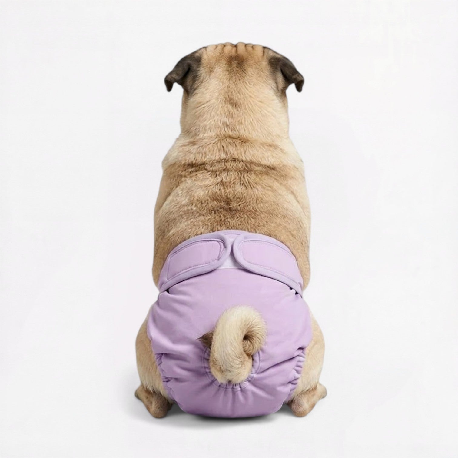 Lunara-Pug-Reusable-Female-Diaper.jpg