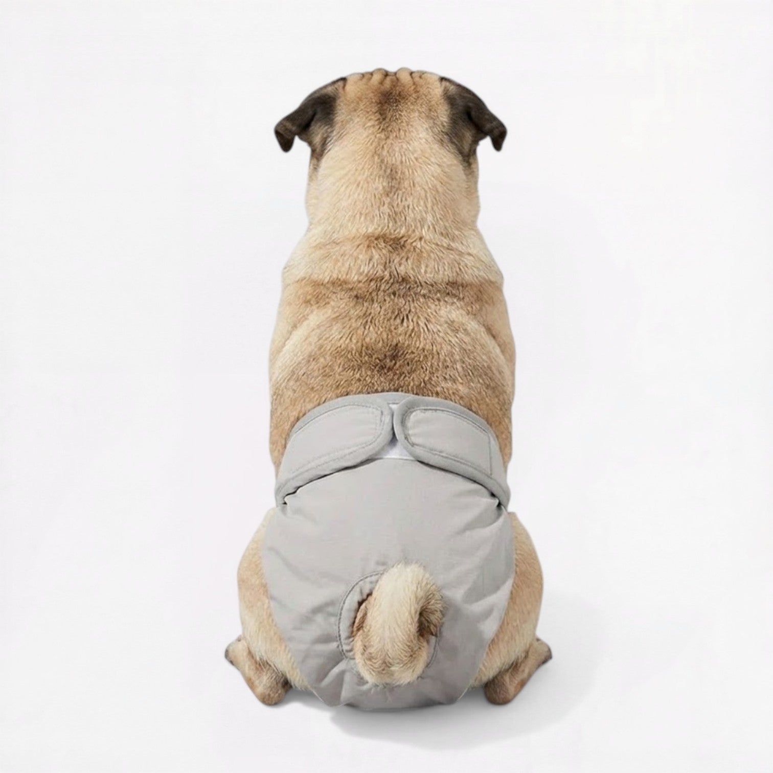 Lunara-Pug-Reusable-Female-Diaper.jpg