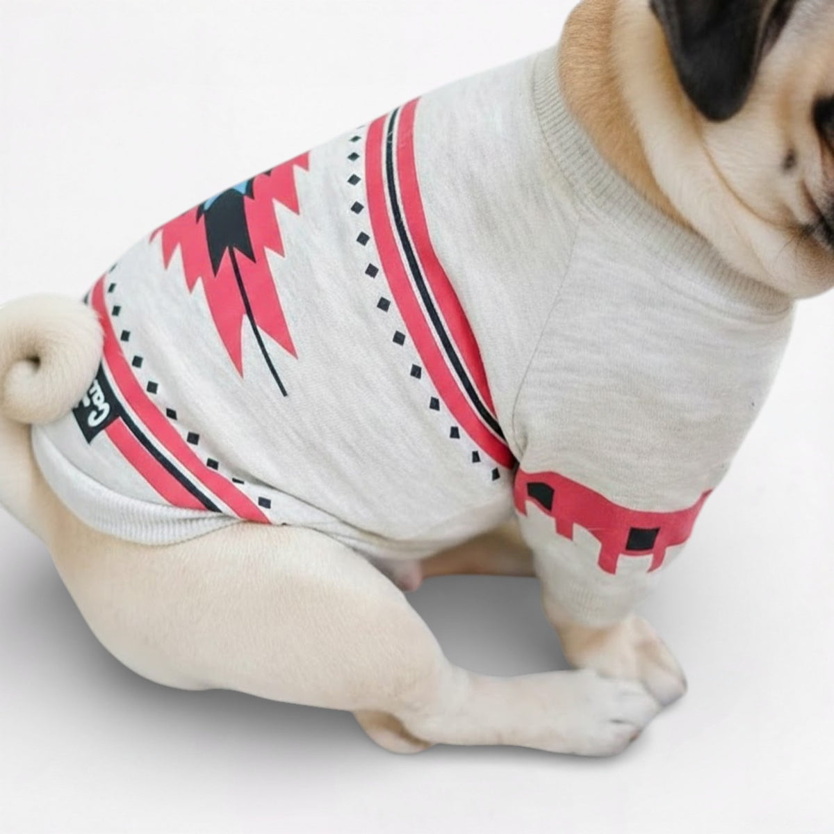 MaplePaw-Pug-Canadian-Maple-Cotton-Dress.jpg