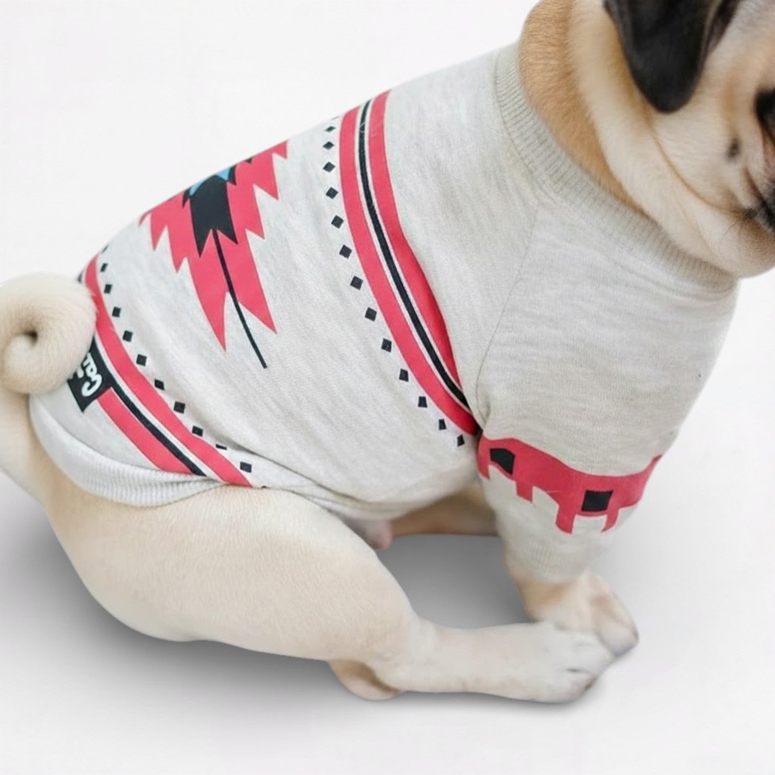 MaplePaw-Pug-Canadian-Maple-Cotton-Dress.jpg