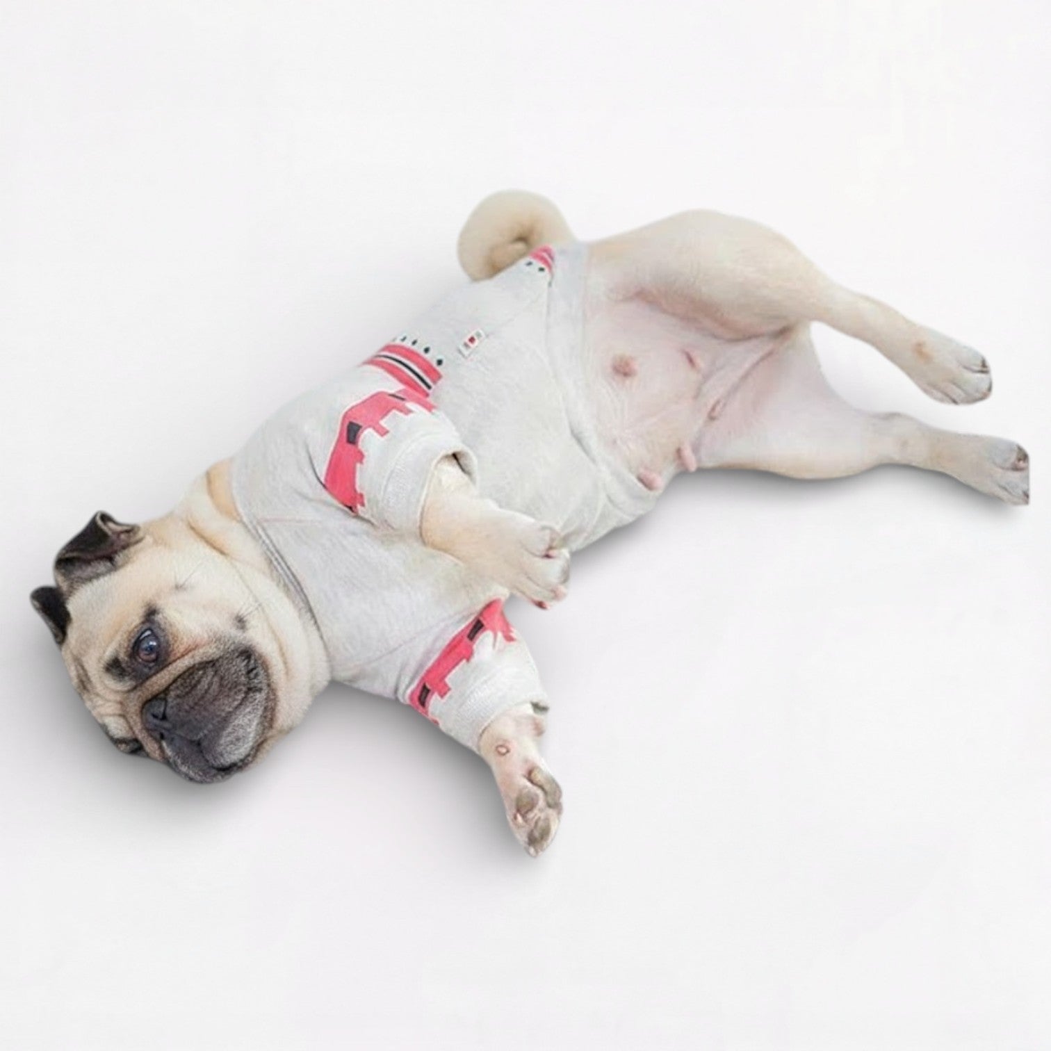 MaplePaw-Pug-Canadian-Maple-Cotton-Dress.jpg