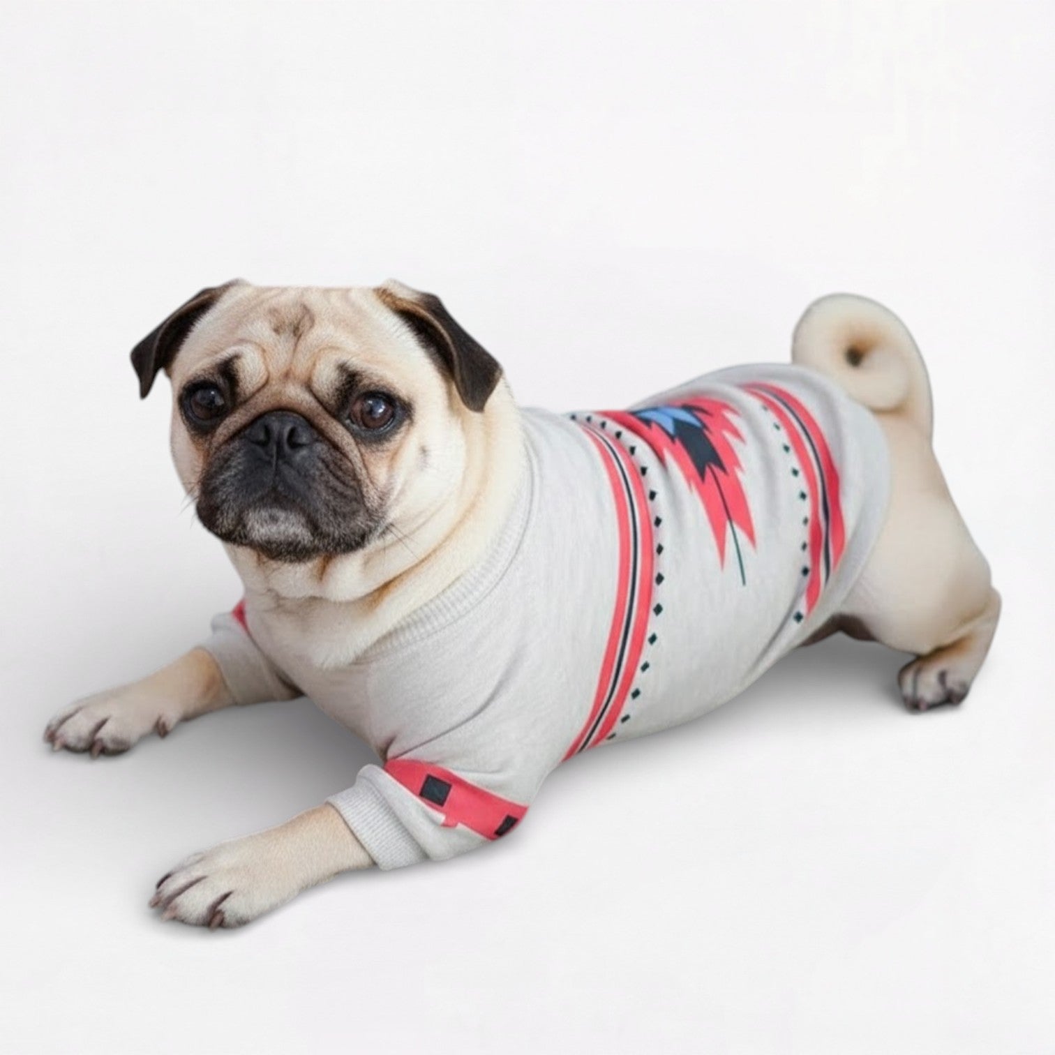 MaplePaw-Pug-Canadian-Maple-Cotton-Dress.jpg