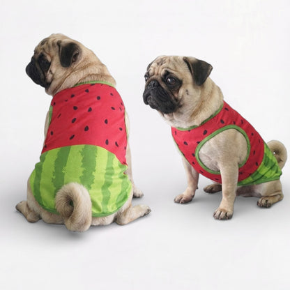 MelonPaw-Pug-Summer-Cooling-Shirt.jpg