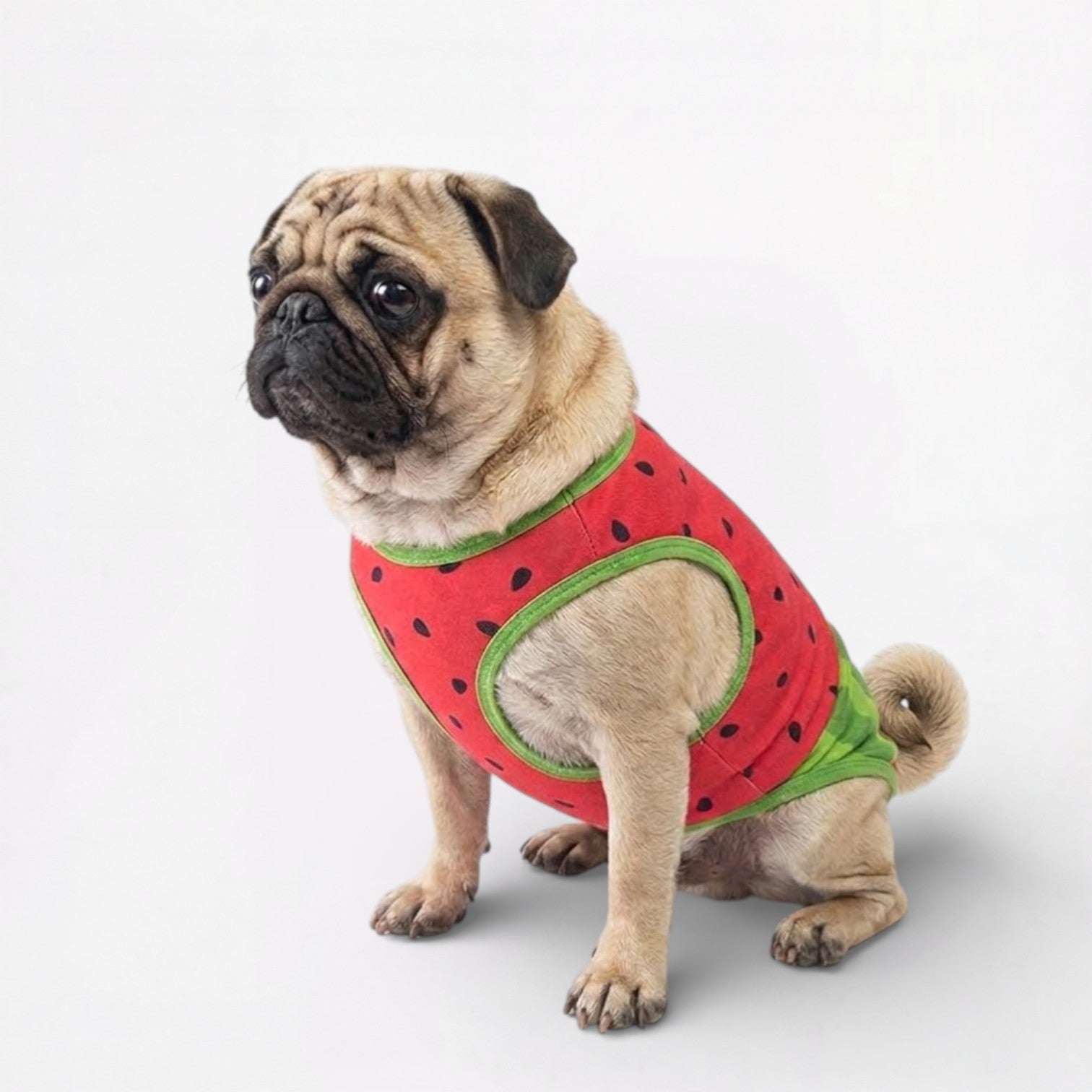 MelonPaw-Pug-Summer-Cooling-Shirt.jpg