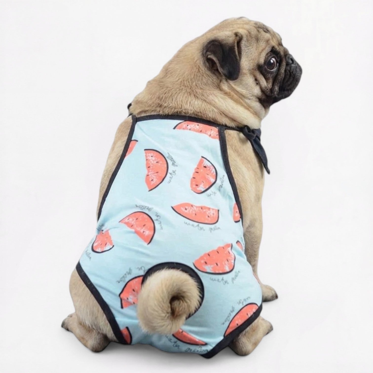 Meloniq-Pug-Female-Physiological-Pants.jpg
