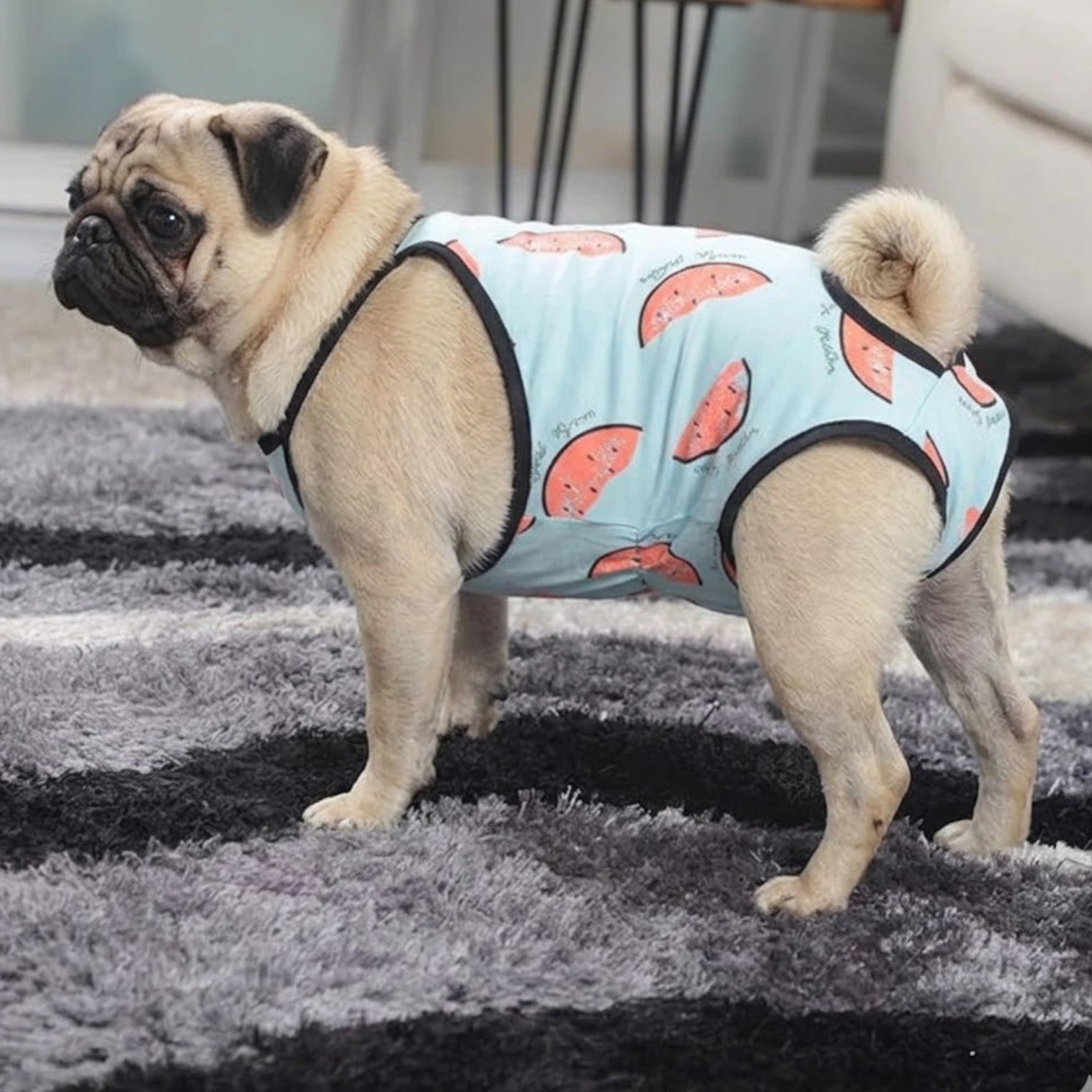 Meloniq-Pug-Female-Physiological-Pants.jpg