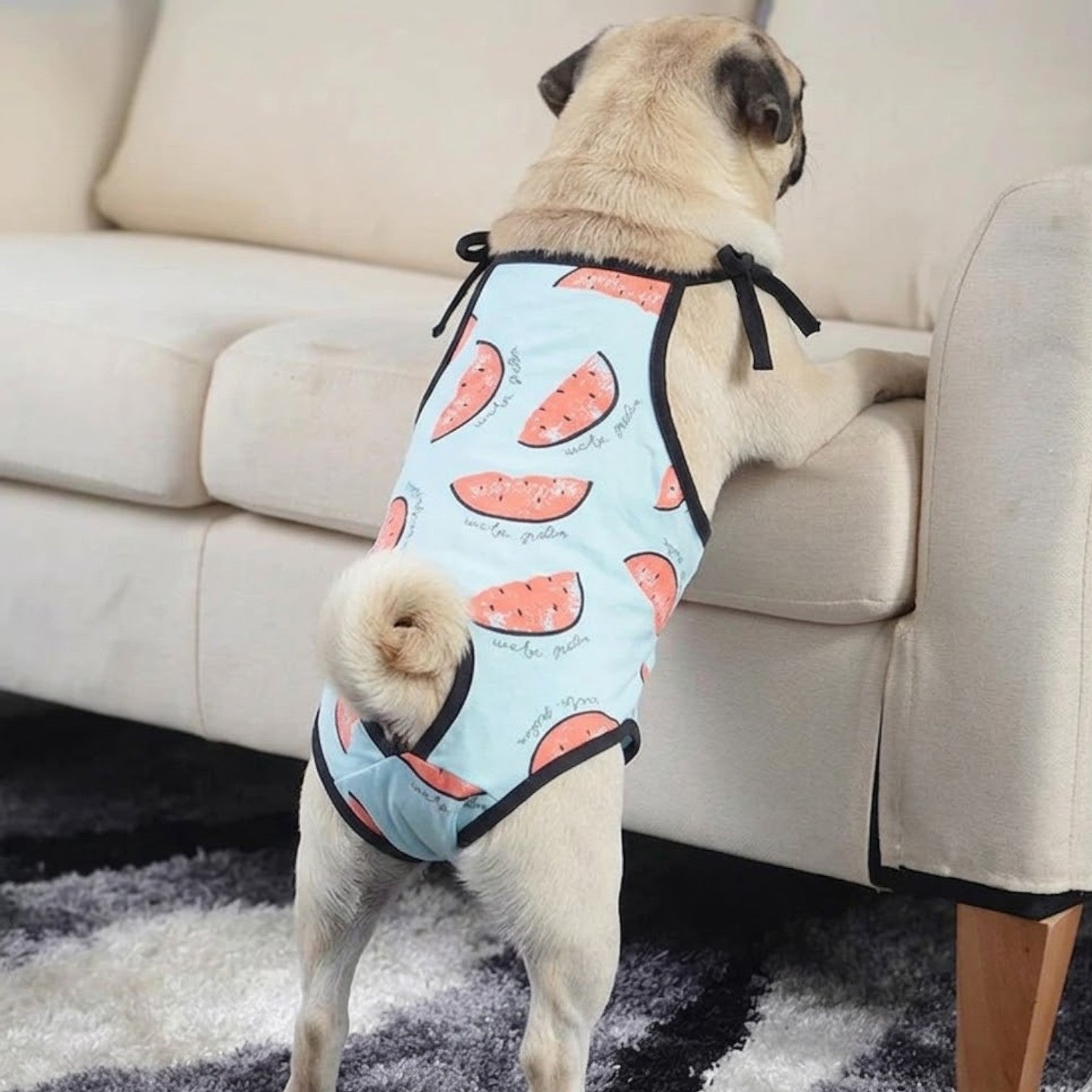 Meloniq-Pug-Female-Physiological-Pants.jpg