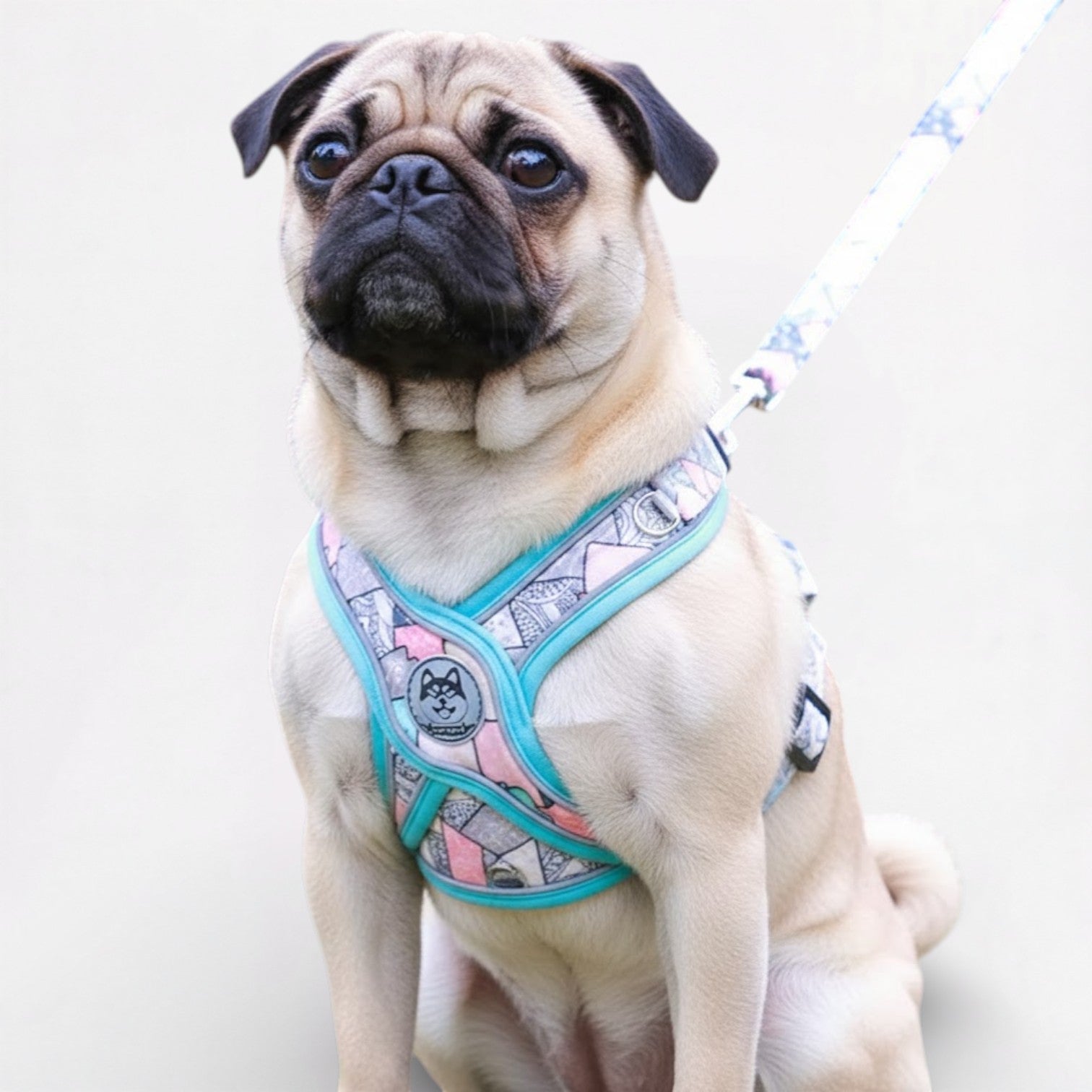 PatchPaw-Pug-Adjustable-Harness-Leash-Set.jpg