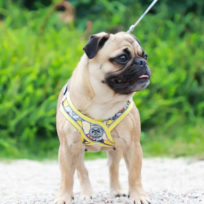 PatchPaw-Pug-Adjustable-Harness-Leash-Set.jpg