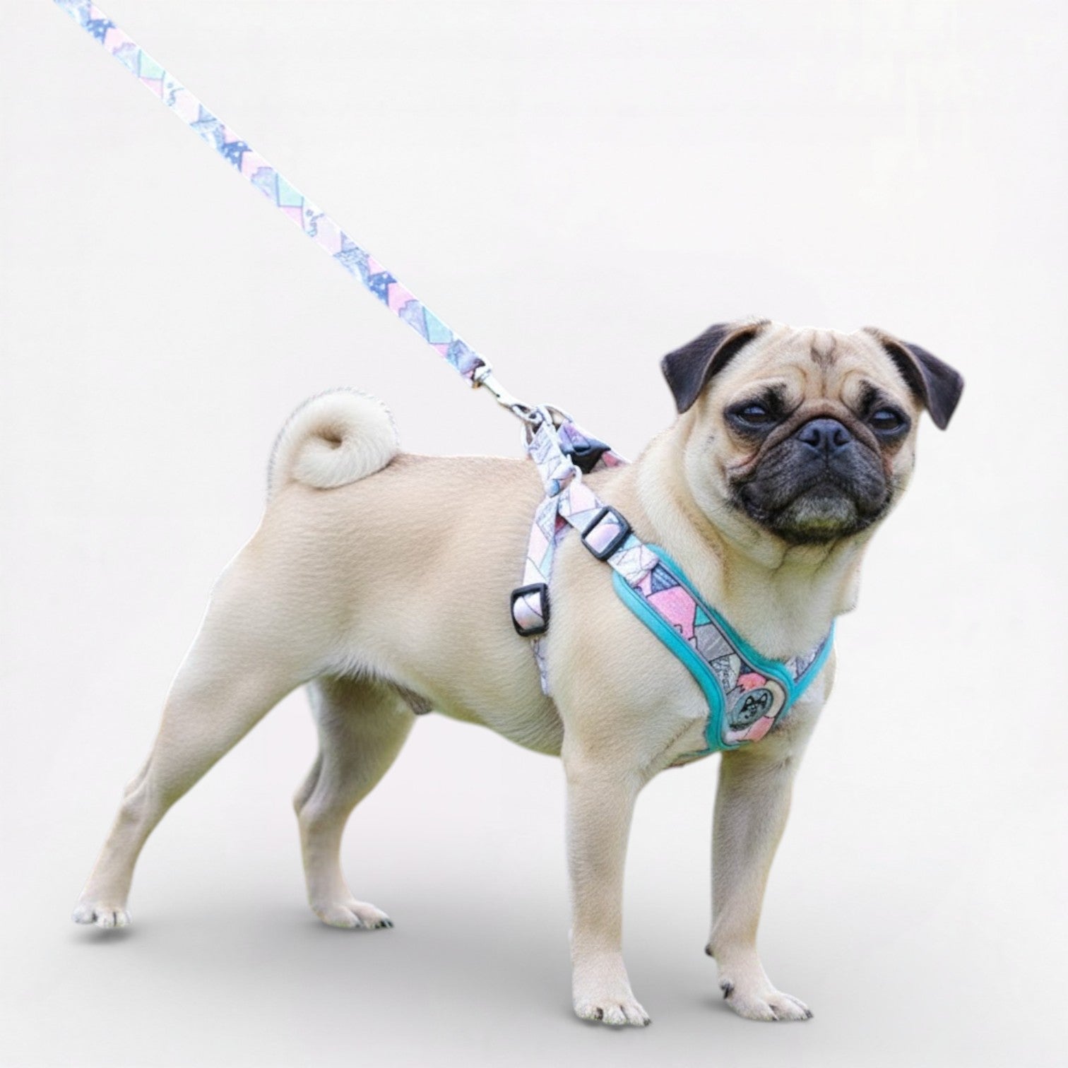 PatchPaw-Pug-Adjustable-Harness-Leash-Set.jpg