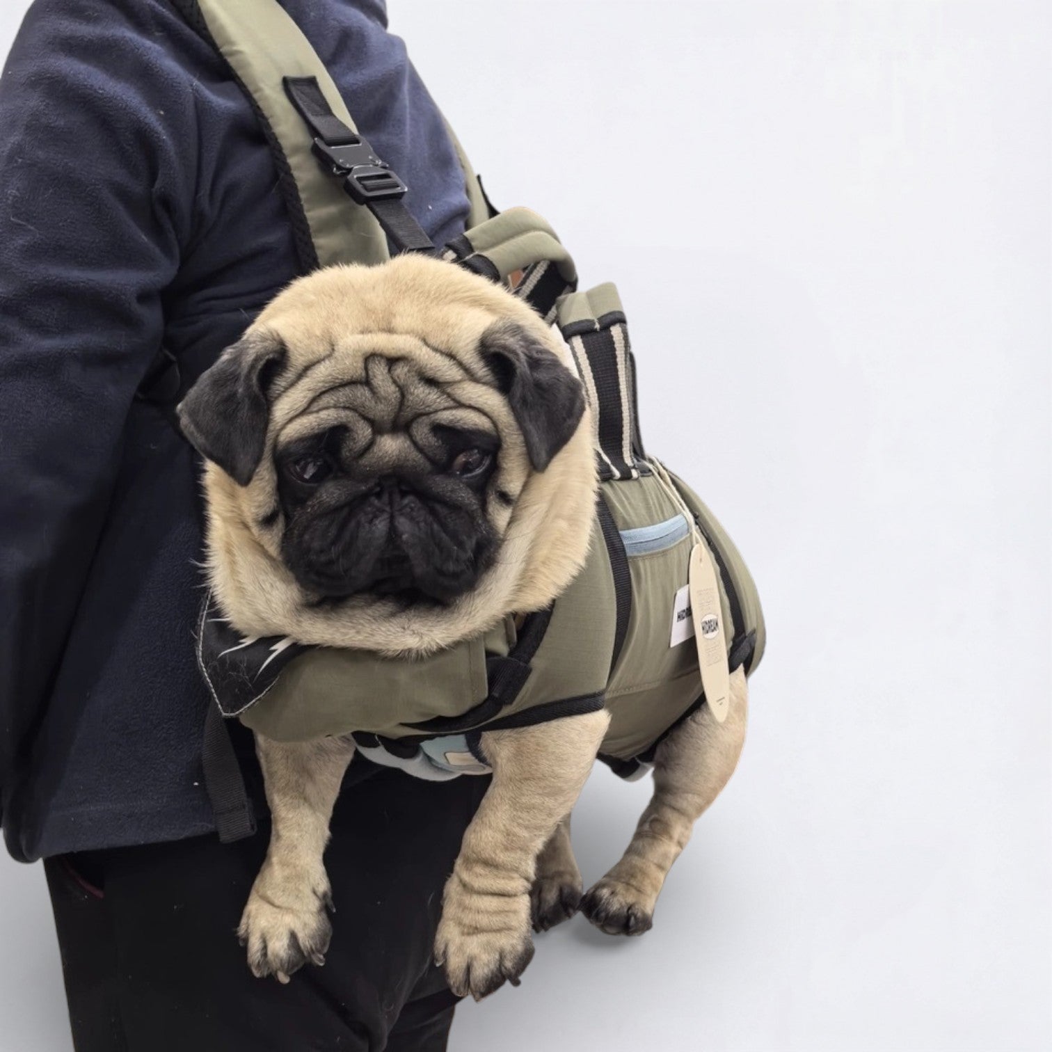 PawCarry-Pug-Backpack-Carrier.jpg
