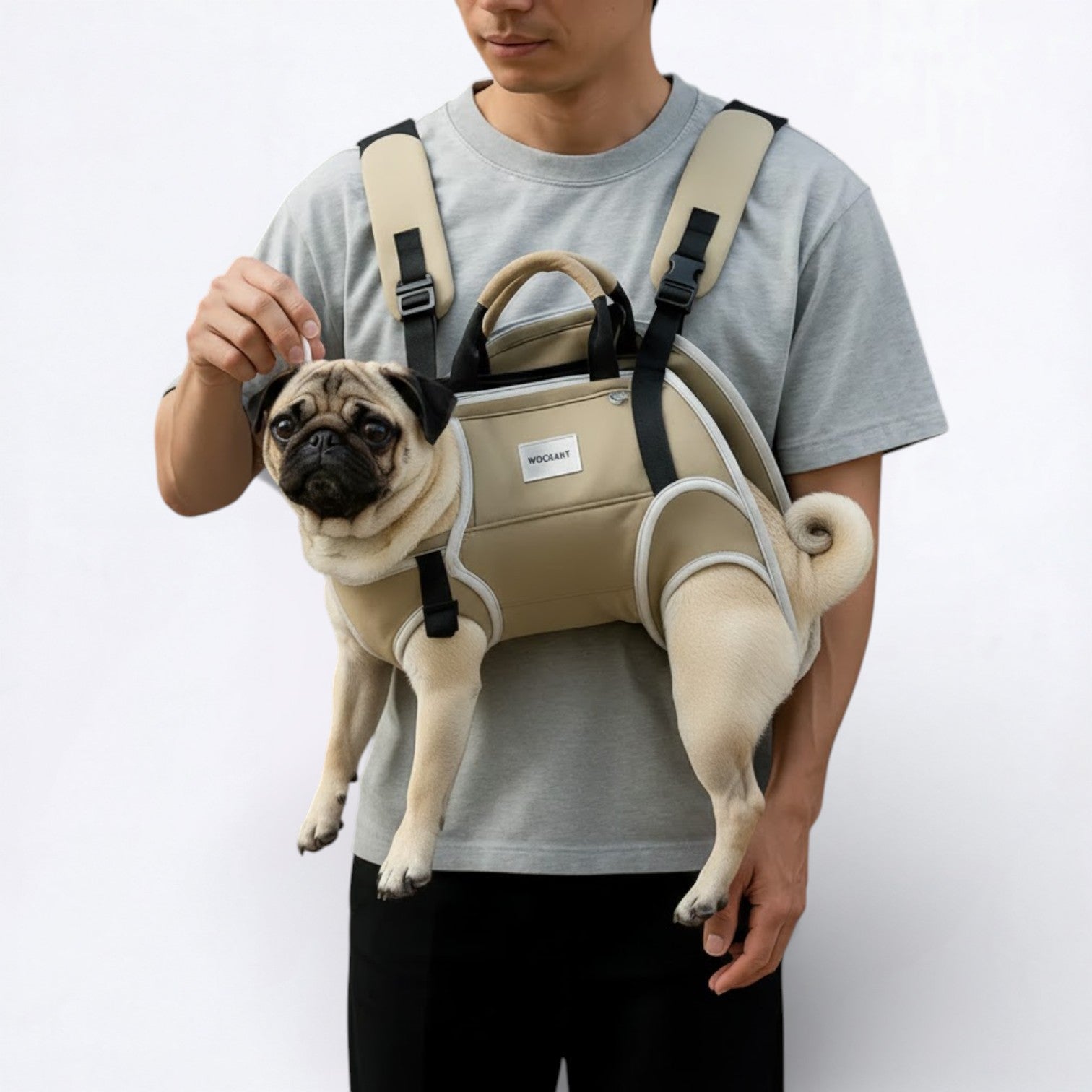 PawCarry-Pug-Backpack-Carrier.jpg