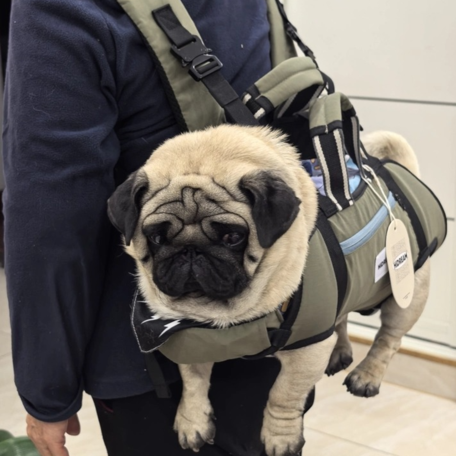 PawCarry-Pug-Backpack-Carrier.jpg