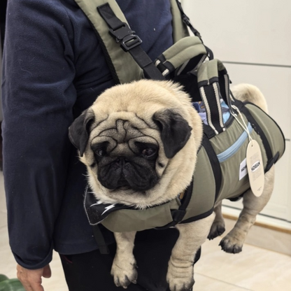 PawCarry-Pug-Backpack-Carrier.jpg
