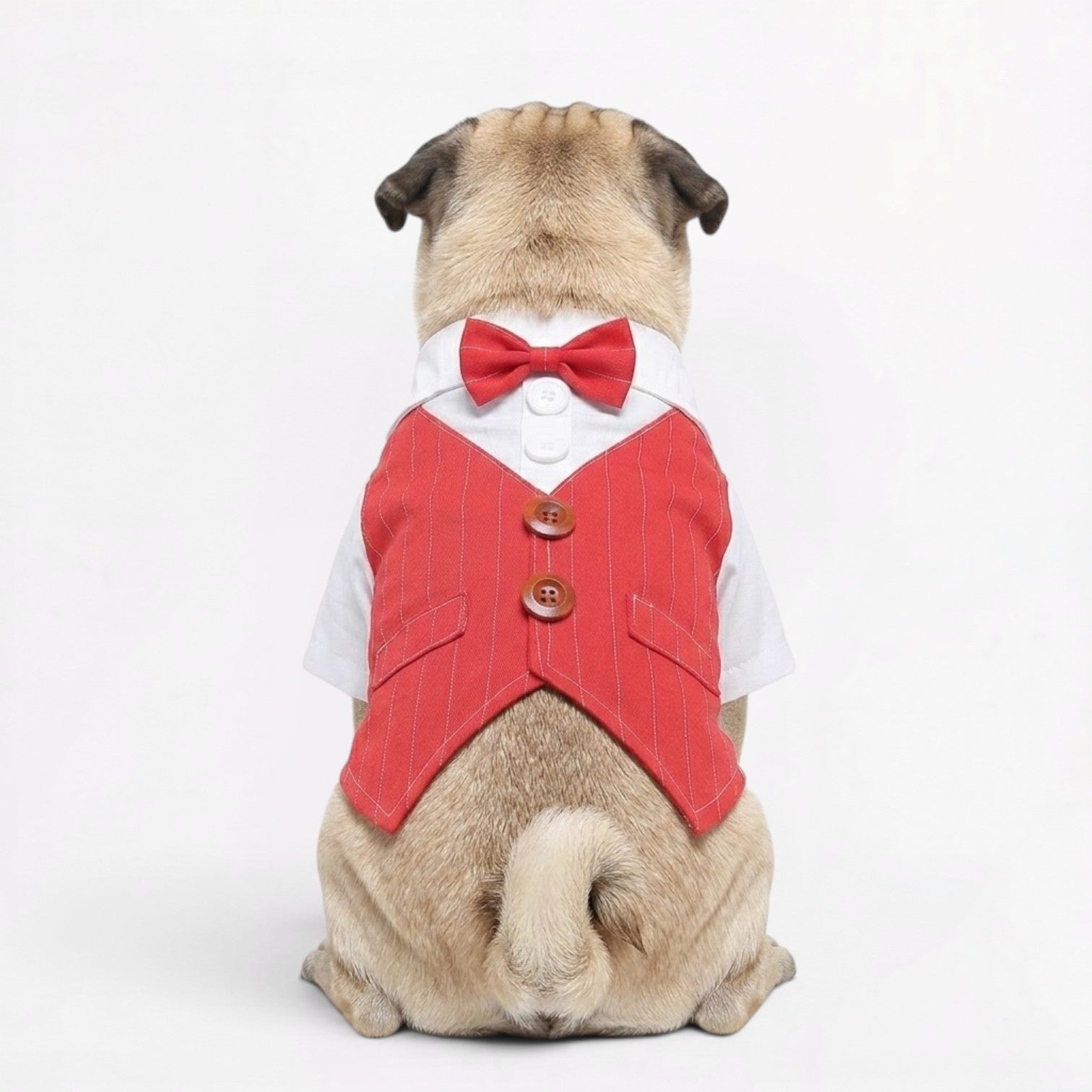 PawDapper-Pug-Wedding-Tuxedo-Suit.jpg