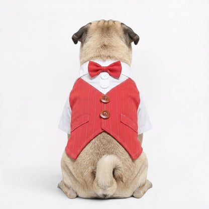 PawDapper-Pug-Wedding-Tuxedo-Suit.jpg