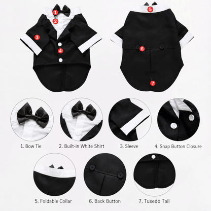 PawDapper-Pug-Wedding-Tuxedo-Suit.jpg