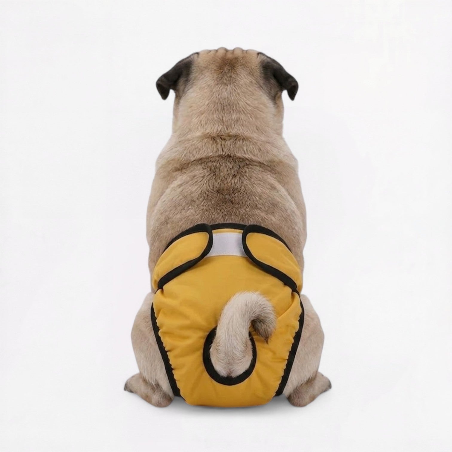 PawDia-Pug-Washable-Diaper.jpg