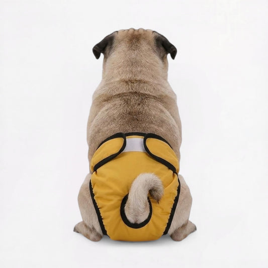 PawDia-Pug-Washable-Diaper.jpg