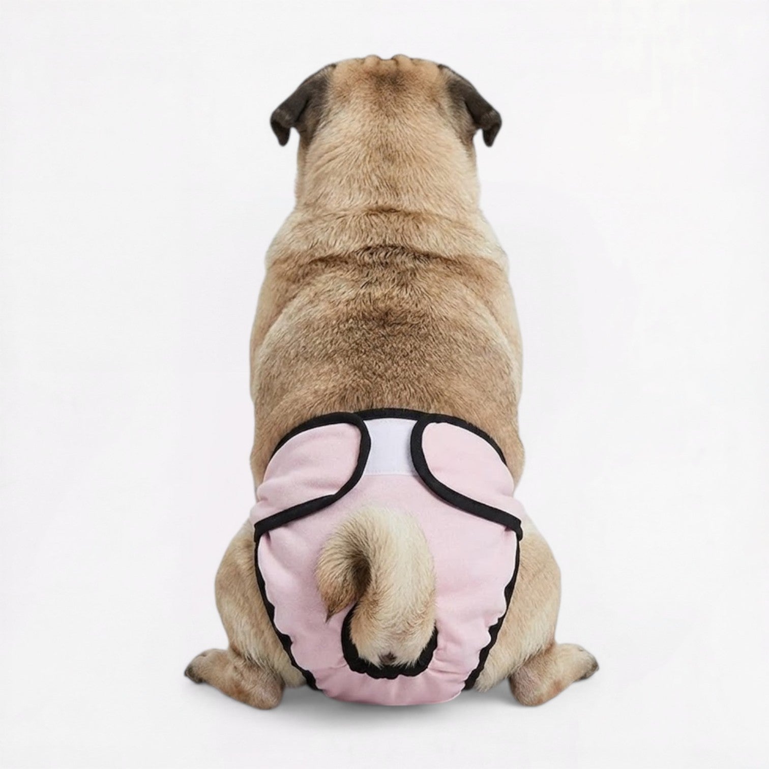 PawDia-Pug-Washable-Diaper.jpg