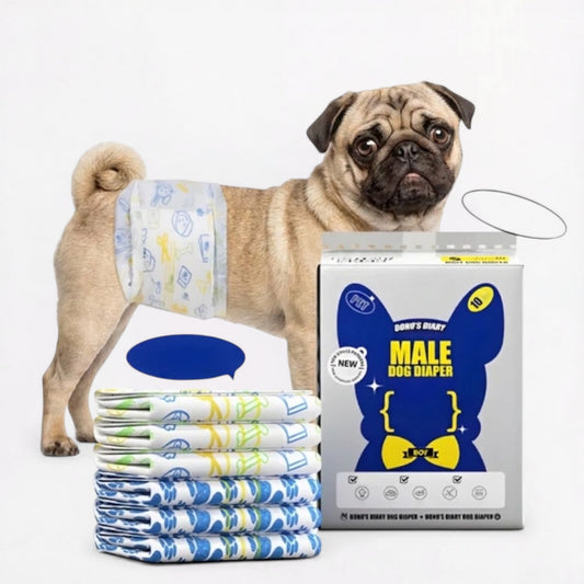 PawDry-Pug-Male-Diapers.jpg
