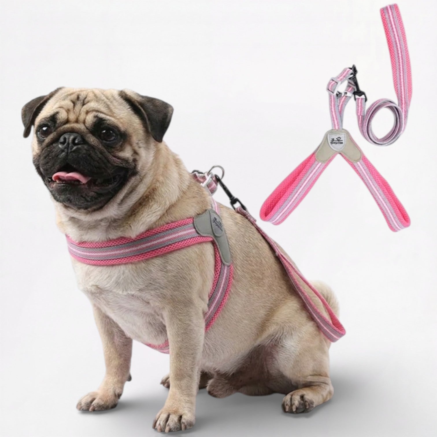 PawEase-No-Pull-Pug-Harness-Leash-Set.jpg