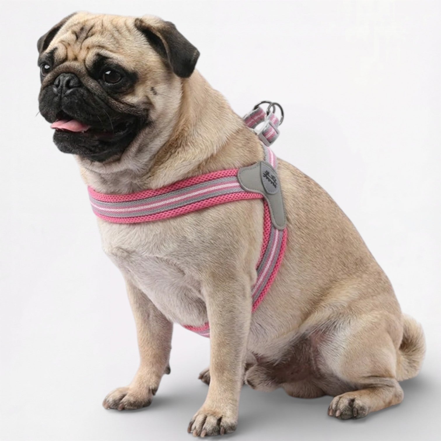 PawEase-No-Pull-Pug-Harness-Leash-Set.jpg