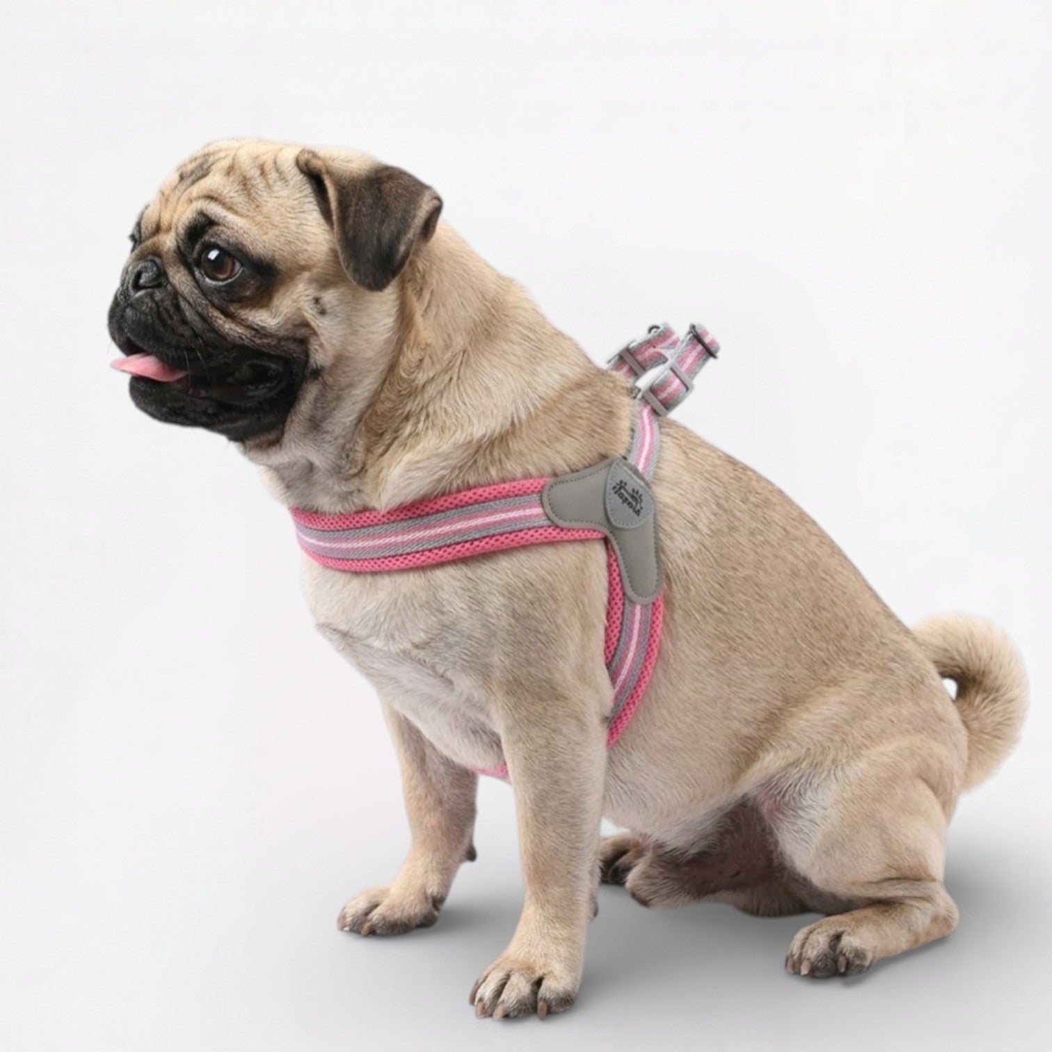 PawEase-No-Pull-Pug-Harness-Leash-Set.jpg