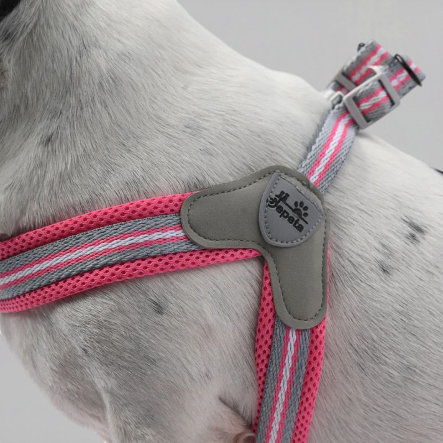 PawEase-No-Pull-Pug-Harness-Leash-Set.jpg