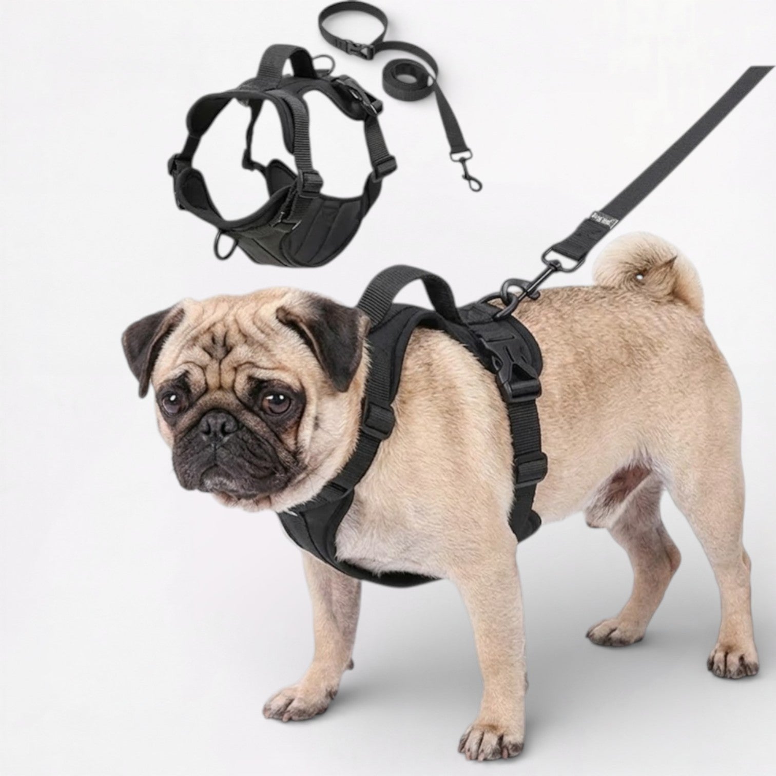 PawEase-Pug-No-Pull-Harness-Leash-Set.jpg