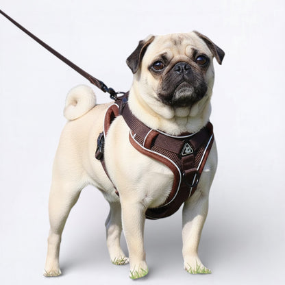 PawFlex-Pug-Harness-Leash-Set.jpg
